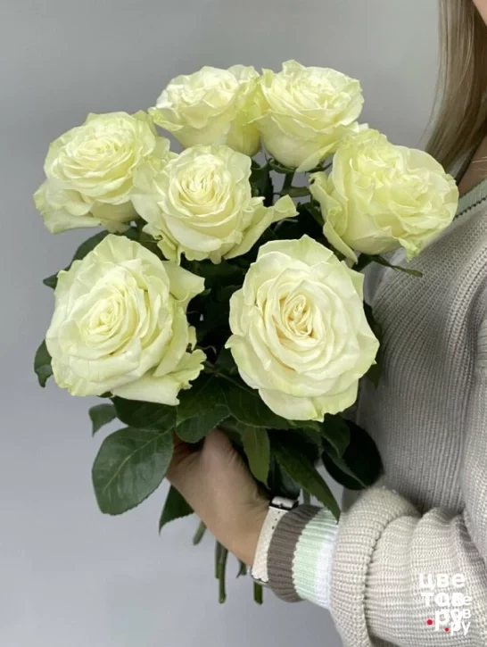 Белые розы 7шт.