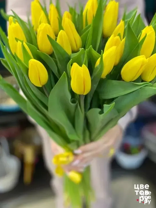 19 желтых тюльпанов
